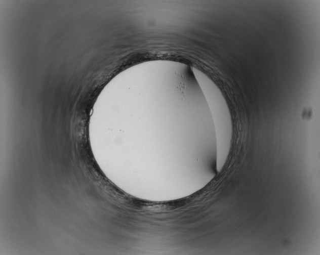 X0000115000417200911231209