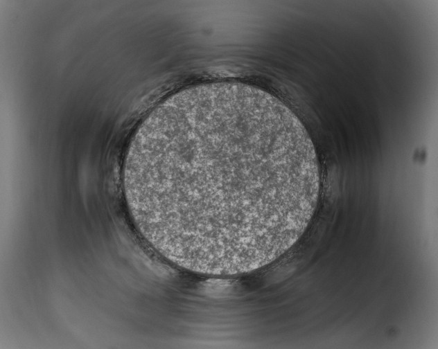 X0000115000418200911231209