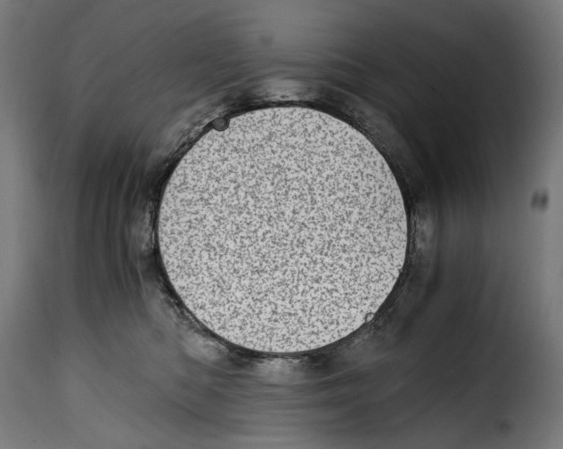 X0000115000422200911231209