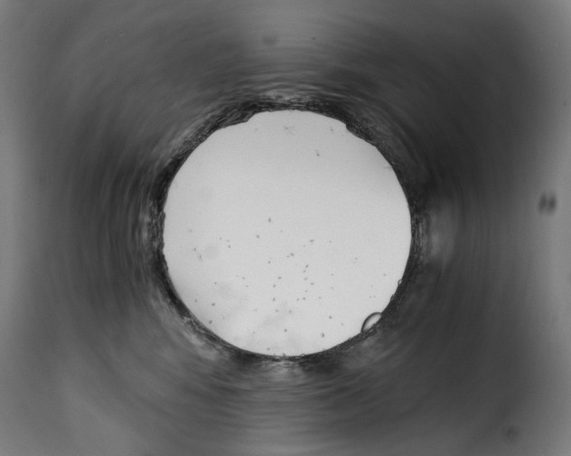 X0000115000424200911231209