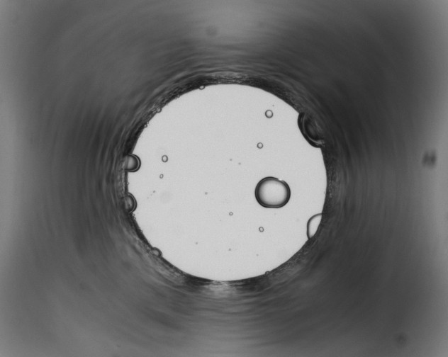 X0000115000425200911231209