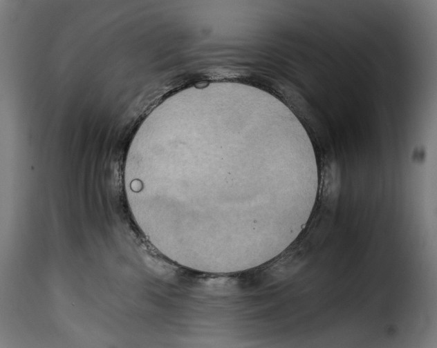 X0000115000426200911231209