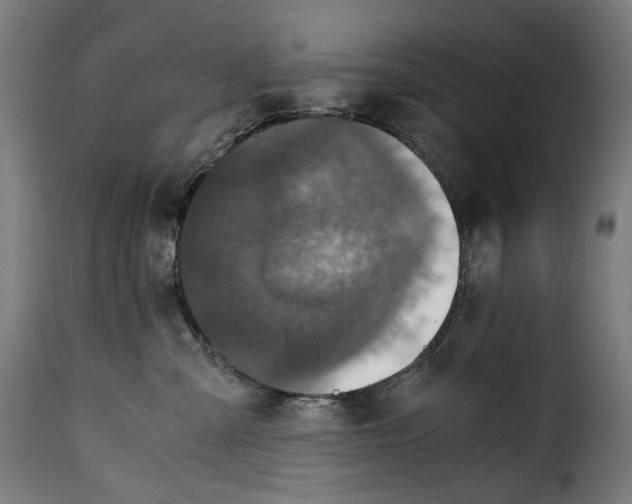 X0000115000427200911231209