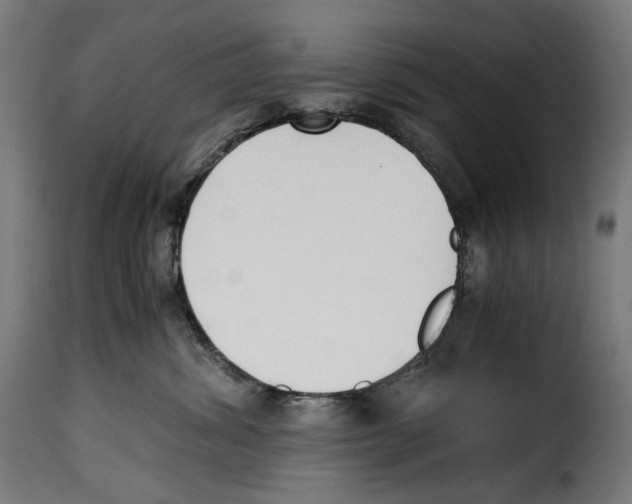 X0000115000428200911231209