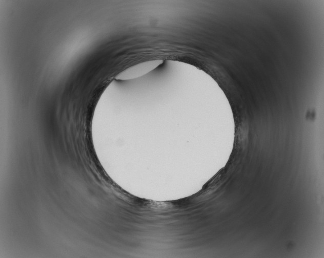 X0000115000429200911231209