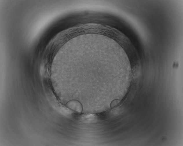 X0000115000431200911231208