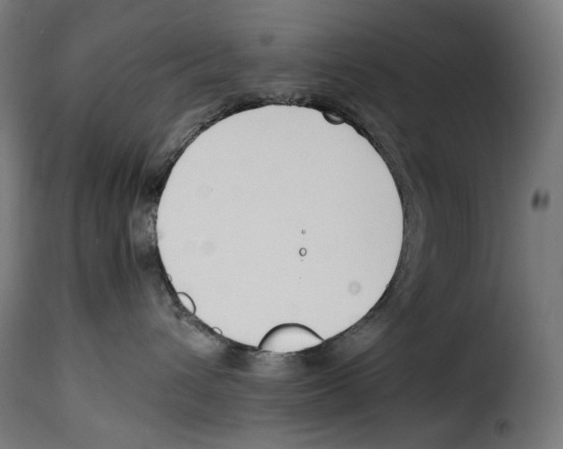 X0000115000432200911231208