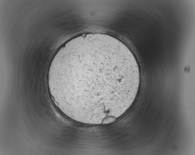 X0000115000433200911231208