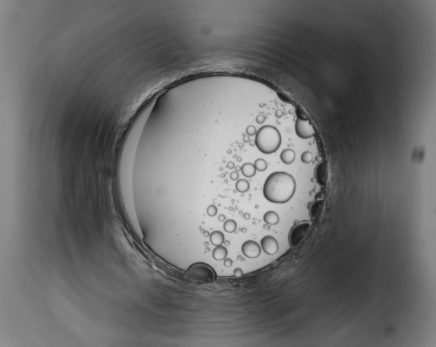 X0000115000434200911231208