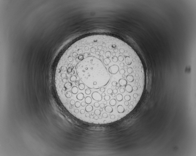 X0000115000435200911231208