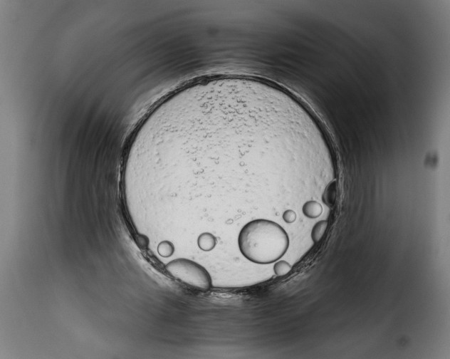 X0000115000437200911231208