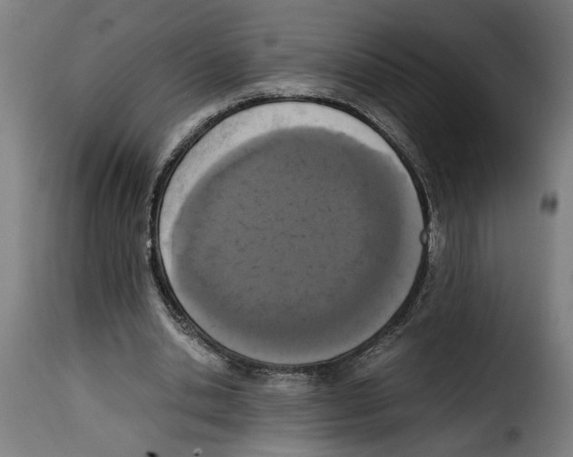 X0000115000438200911231208