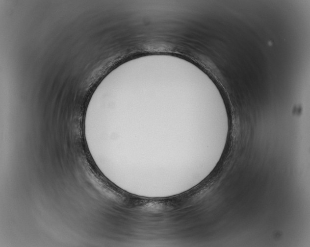 X0000115000441200911231208