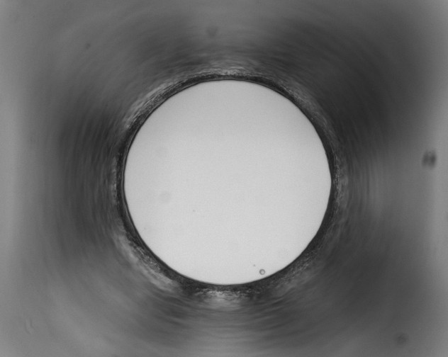 X0000115000442200911231208