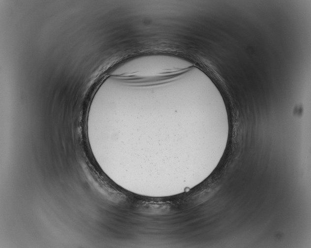 X0000115000443200911231208