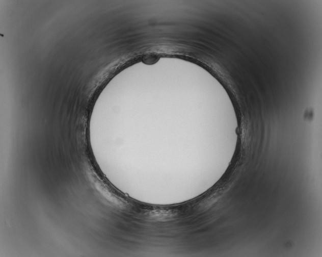 X0000115000445200911231208