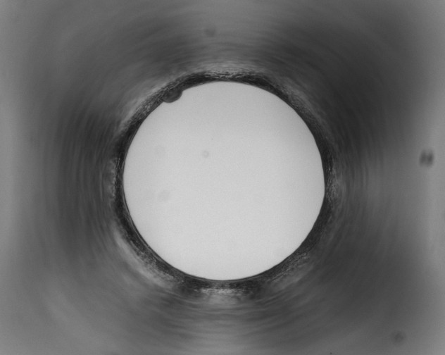 X0000115000448200911231208