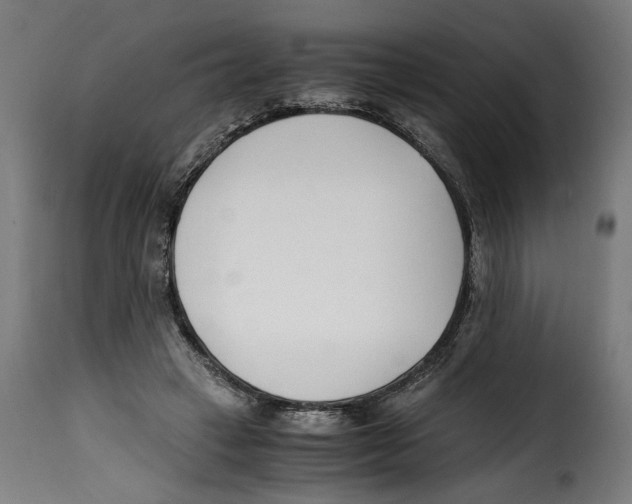 X0000115000449200911231208