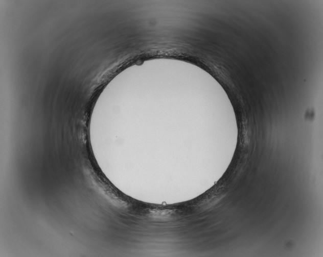 X0000115000450200911231208