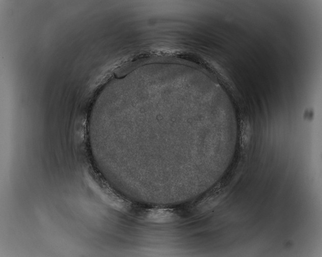 X0000115000451200911231208