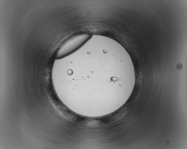 X0000115000456200911231208