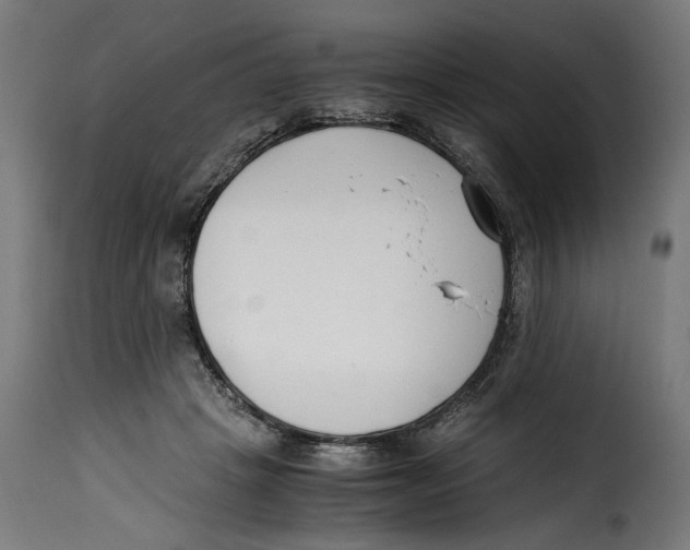 X0000115000457200911231208