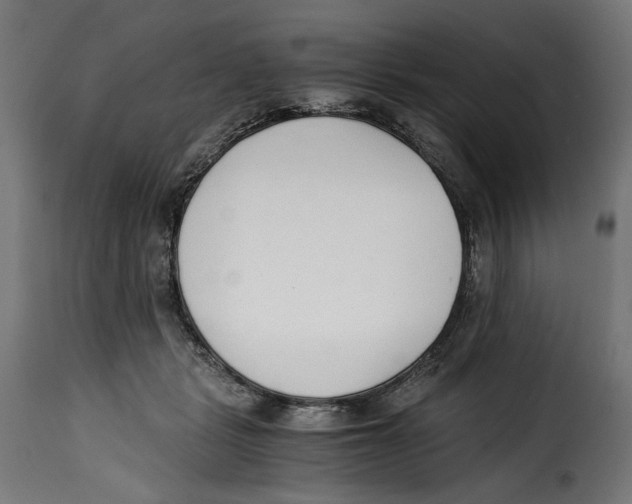 X0000115000461200911231208