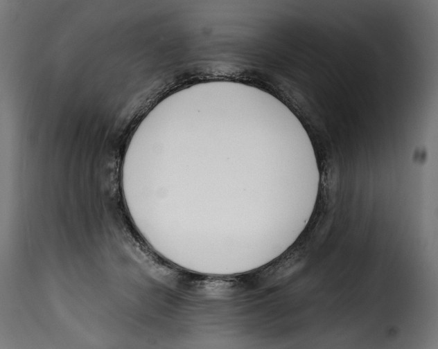 X0000115000462200911231208