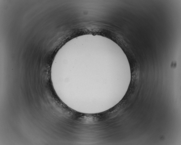 X0000115000464200911231208