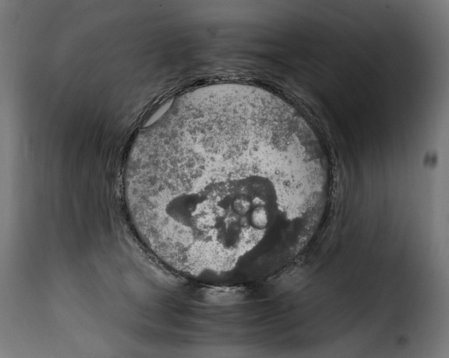 X0000115000465200911231208