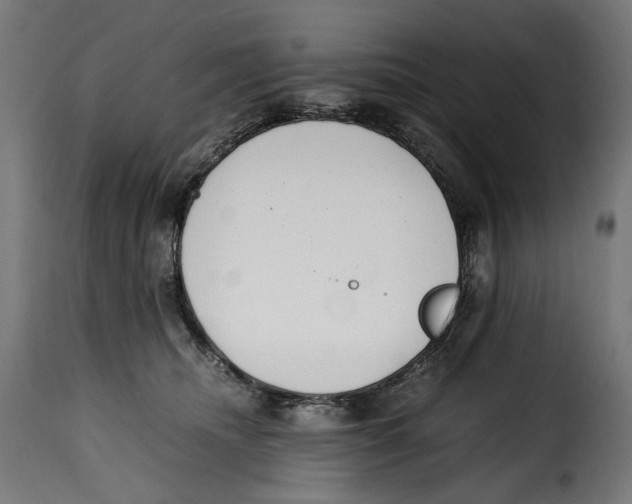 X0000115000468200911231208