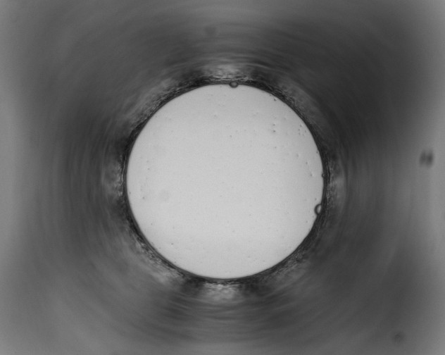 X0000115000469200911231208