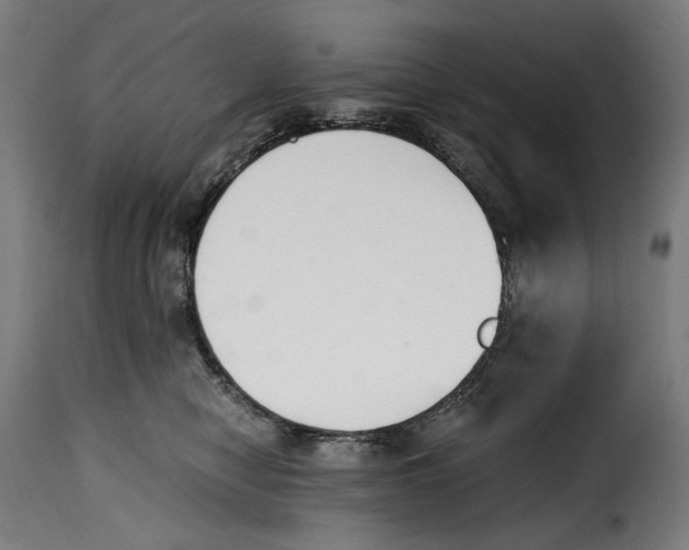 X0000115000470200911231208