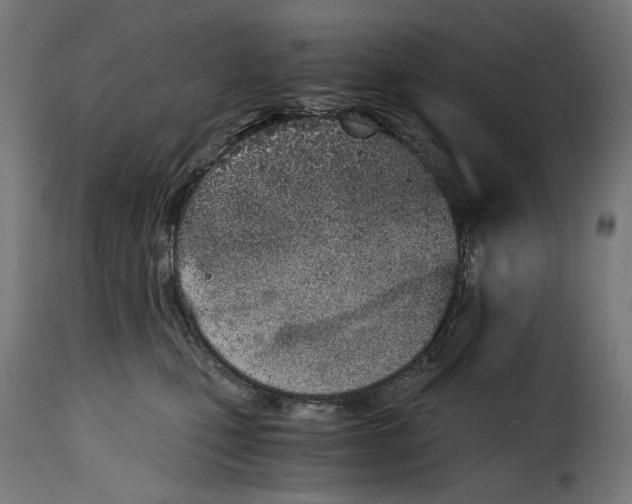 X0000115000471200911231208