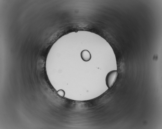 X0000115000472200911231208