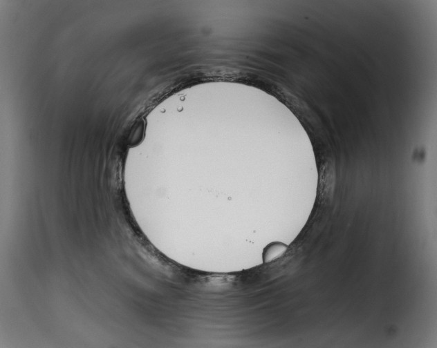 X0000115000474200911231208