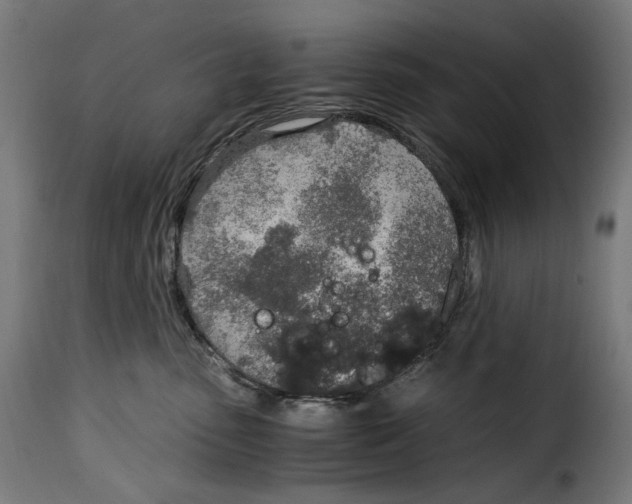 X0000115000475200911231208