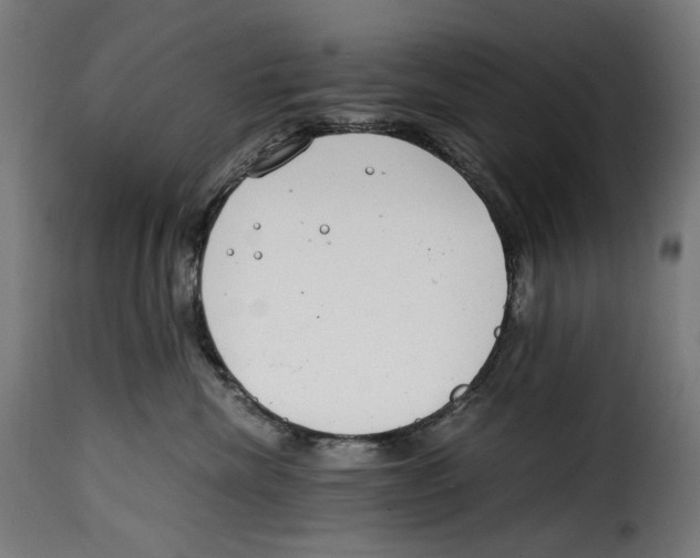 X0000115000476200911231208