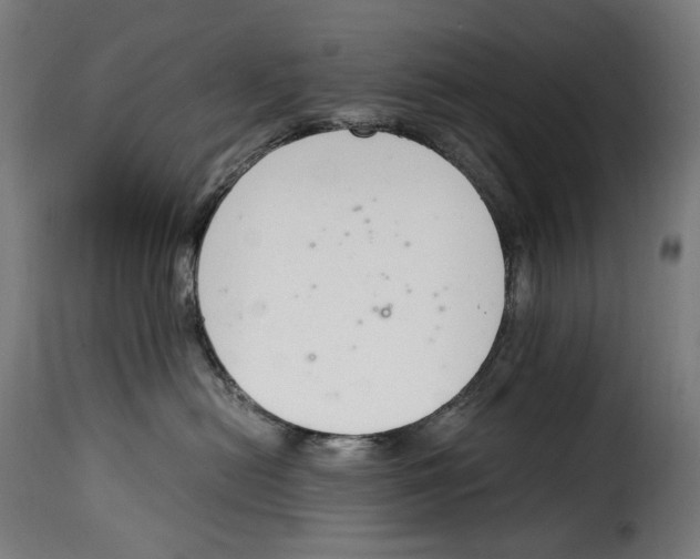 X0000115000478200911231208