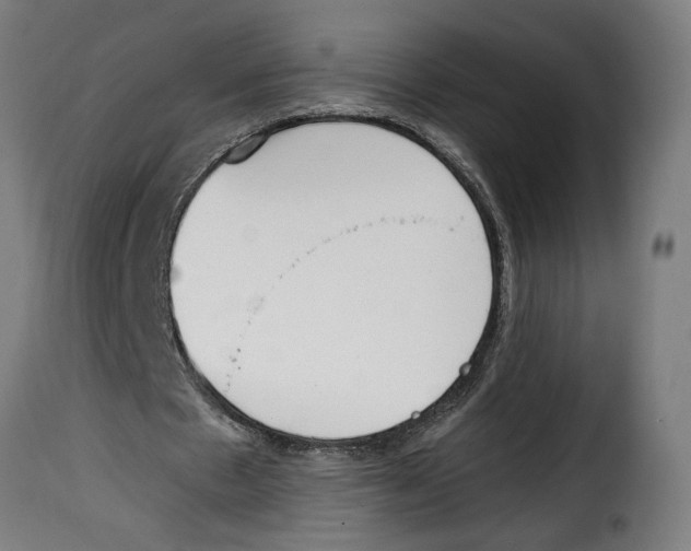 X0000115000481200911231208