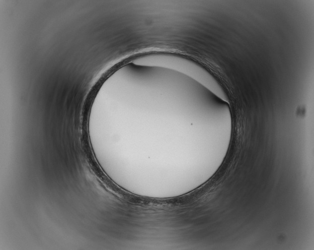 X0000115000484200911231208