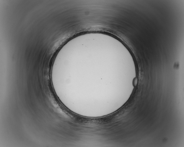 X0000115000485200911231208