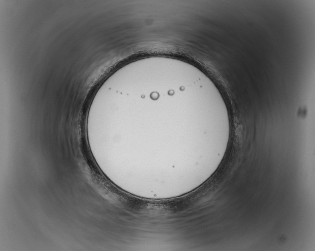 X0000115000487200911231208