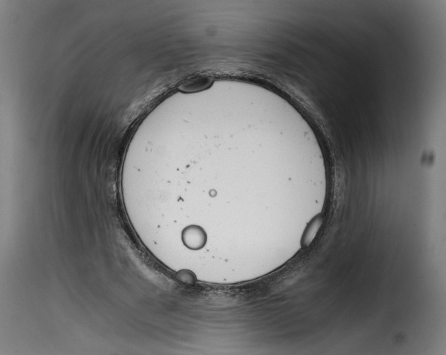 X0000115000489200911231208