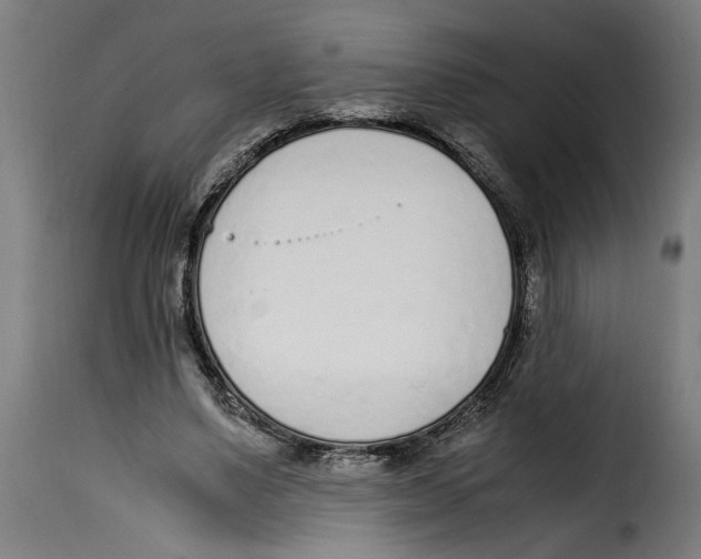 X0000115000491200911231208