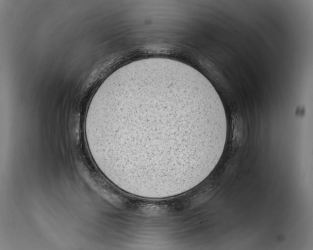 X0000115000494200911231208