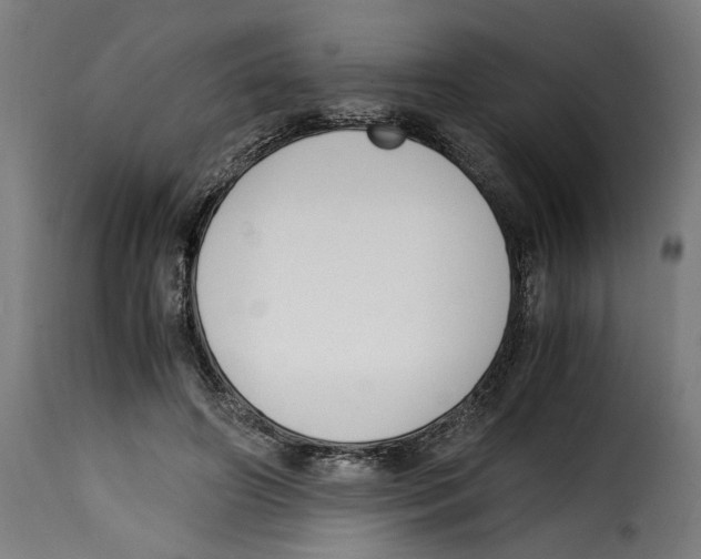 X0000115000498200911231208