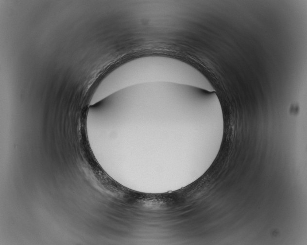 X0000115000500200911231208