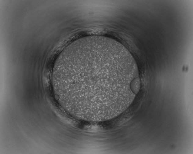 X0000115000503200911231207