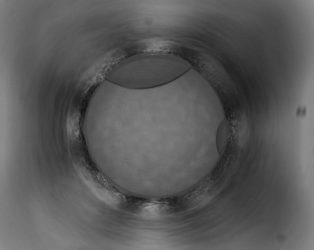 X0000115000504200911231207